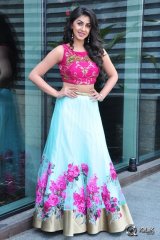 Nikki Galrani at Krishnashtami Movie Platinum Disc Function